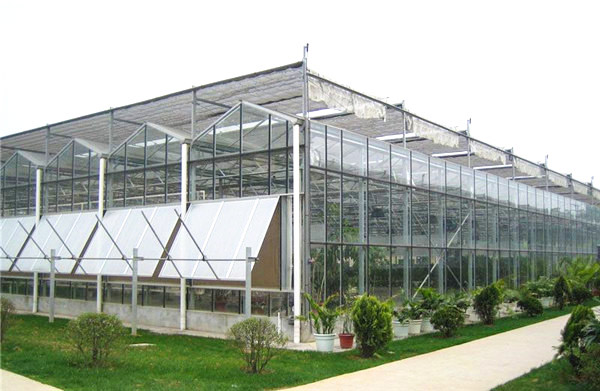 5e6af5c425c54.jpg 5cff6983c5a71.jpg